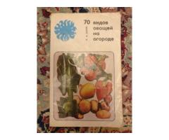 ''70 видов овощей на огороде'',-автор Шуин К.А