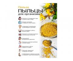 Пыльца цветочная, пчелиная