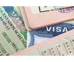 Помощь в регистрации на рабочую визу