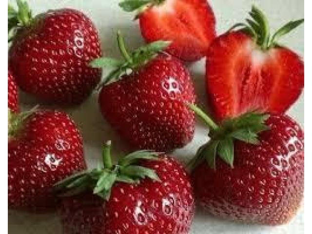 Саженцы клубники Мальвина - 1/1