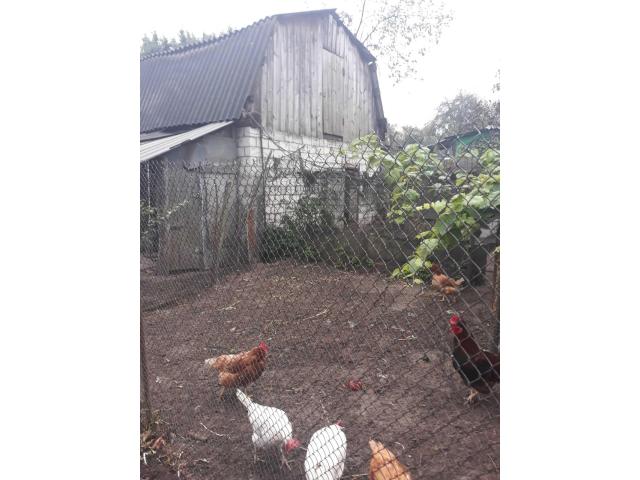 Продажа благоустроенного дома в центре Советского  района . Быховская 51 - 5/8