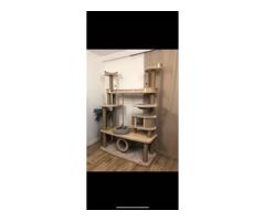 Когтеточка - (Комплекс)