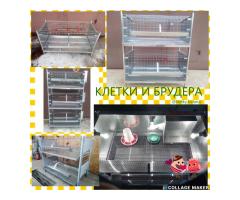 Клетки и брудера