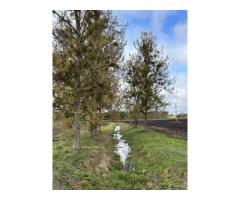 Продается дом с участком - 22 сотки - 58 км от Минска, 10 км от г.Столбцы