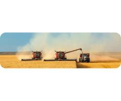 Подсолнечное и соевое масло оптом - ТМ Золотая Семечка