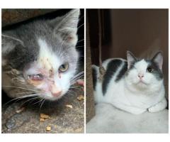 ПОЖАЛУЙСТА, НЕ ПРОХОДИТЕ МИМО