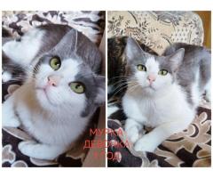 ПОЖАЛУЙСТА, НЕ ПРОХОДИТЕ МИМО