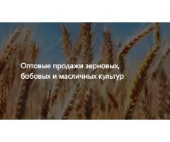 ООО Агропром - оптовая реализация продуктов питания экспорт