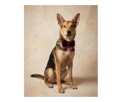 Жучок ждет свою семью