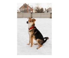 Жучок ждет свою семью