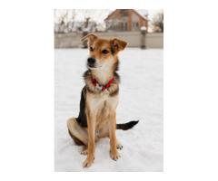 Жучок ждет свою семью