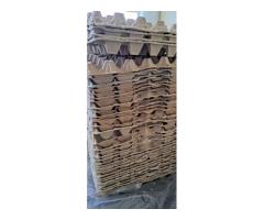 Лотки (контейнеры) на 20-30 яиц-244шт