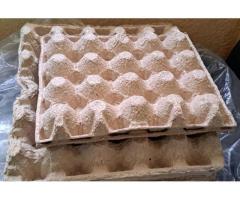 Лотки (контейнеры) на 20-30 яиц-244шт