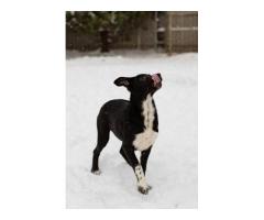 КРОШЕЧКЕ ОЧЕНЬ НУЖЕН ДОМ