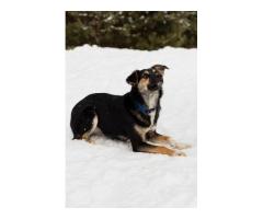 Умнейшая Козявочка ждет свою семью