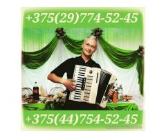 Баянист в Минске и области